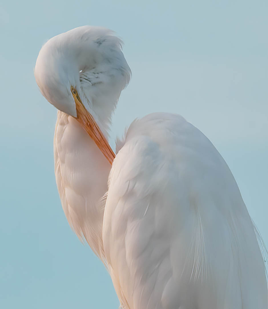 Grey Lodge Wildlife Refuge